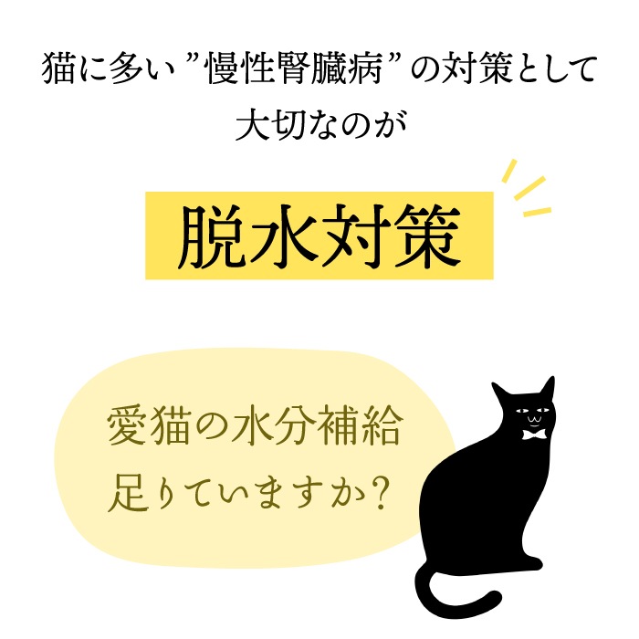 ペットの恵み365 猫 カラダのスープ 食べ比べ3種セット 40g×3 | ペット