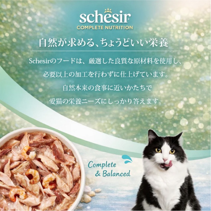 シシア ツナ with ビーフ パウチ 85g | Schesir(シシア) | カチオン