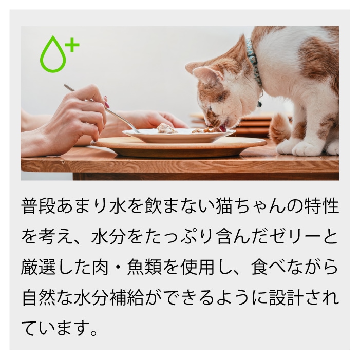 シシア 選べる8個セット パウチ 85g×8【送料無料】 | Schesir(シシア