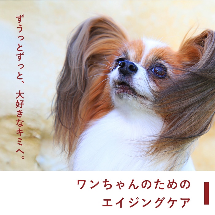 マチュア トリートメントミスト ハリコシケア 200ml スプレーボトル