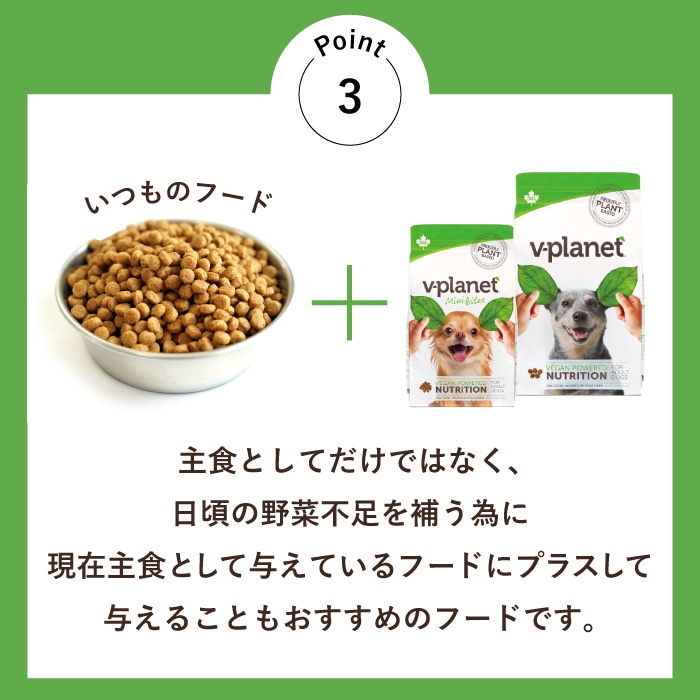 臨時販売】ヴィーガン ドッグフード 中・大型犬用 大粒 6.8kg | V