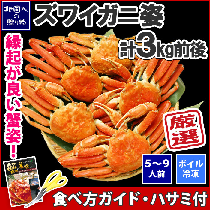 ズワイガニ 姿 3kg （5尾）化粧箱入 カニ かに セット 蟹 ギフト 蟹姿 ずわいがに 姿 すがた ずわい蟹 ズワイ蟹 ズワイガニ ボイル 母 父 誕生日 かに カニ ギフト お取り寄せ グルメ 海鮮 ギフト 贈答品 加藤水産 送料無料