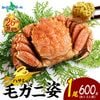 【ギフト】カニ 毛ガニ 姿 （600g） 毛蟹 毛がに かに 蟹 ギフト カニ 姿 蟹姿 蟹味噌 かにみそ カニ味噌 鍋 蟹 毛ガニ 北海道 カニ ボイル かに ギフト 蟹 カニ ギフト 父の日 母の