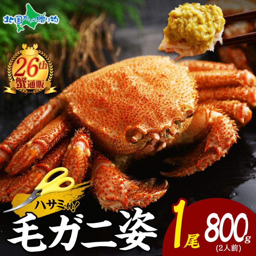 【ギフト】カニ 毛ガニ 姿 800g かに カニ ボイル 蟹 毛ガニ 北海道 蟹姿 毛がに 毛蟹 特大 けがに 蟹味噌 かにみそ カニ味噌 カニ 甲羅 足 かに 鍋 ギフト 海鮮 お取り寄せ グルメ ギフト 蟹 ギフト カニ かに 送料無料