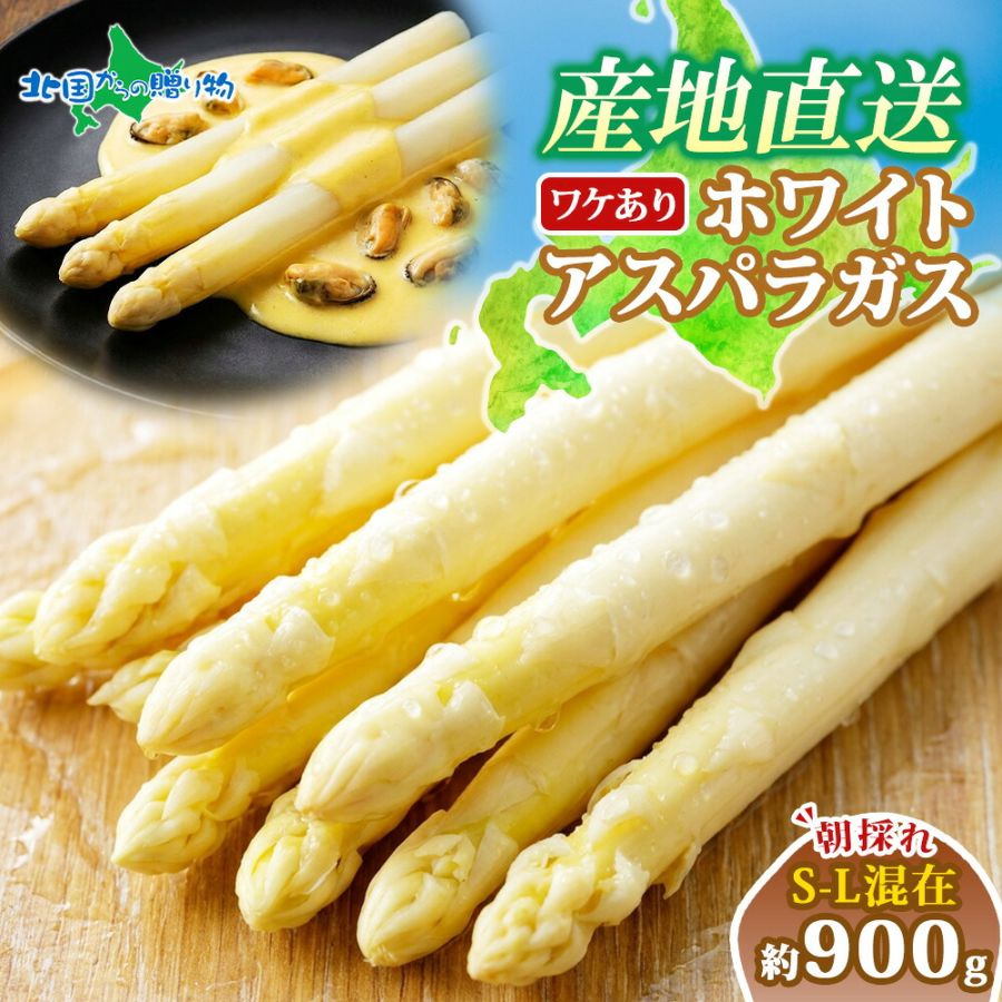 訳あり 北海道産 ホワイトアスパラガス（S-Lサイズ混在） 900g　送料無料　◆出荷予定：5月下旬-6月中旬 ※日時指定不可 ※代引き不可