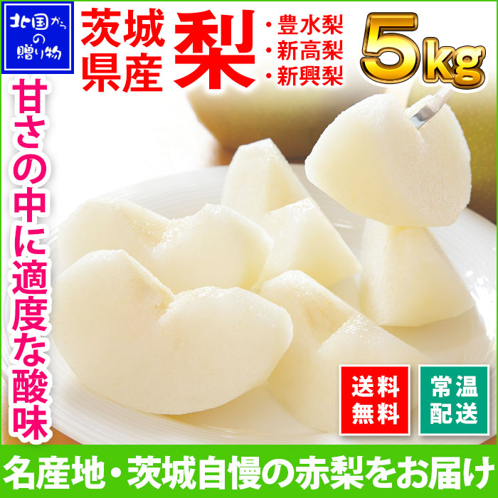 茨城県産 梨 秀品 ギフト 計5kg前後(8-13個) 送料無料　◆出荷予定：9月下旬-10月上旬 ※日時指定不可