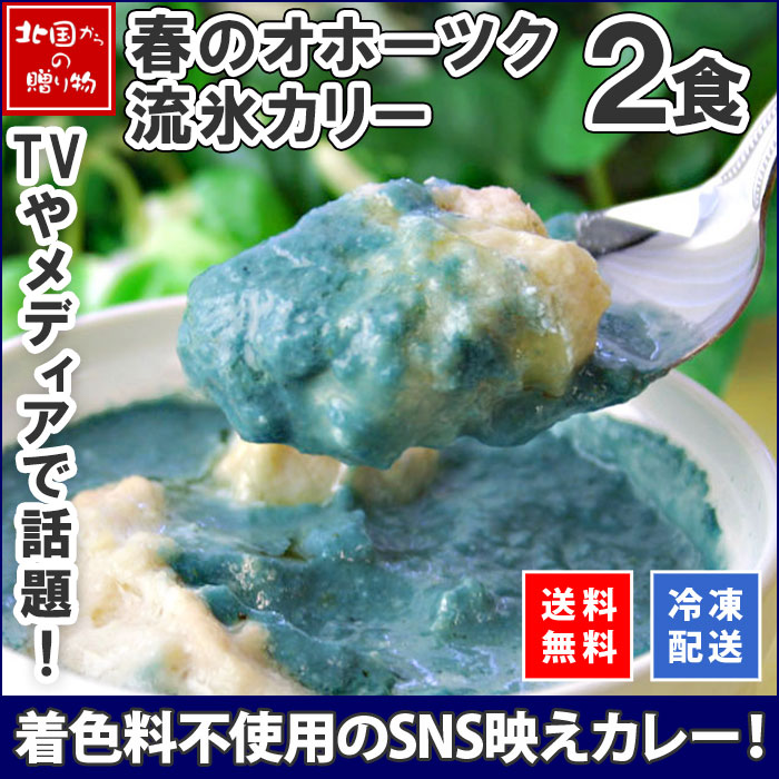 北海道 クリシュナ 春のオホーツク流氷カレー2食セット　手焼きナン付（インド料理店クリシュナ）　※最短8日後以降お届け　送料無料