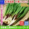 北海道産 行者にんにく アイヌネギ 500g 生冷蔵 ◆出荷予定：4月下旬　送料無料 ※日時指定不可