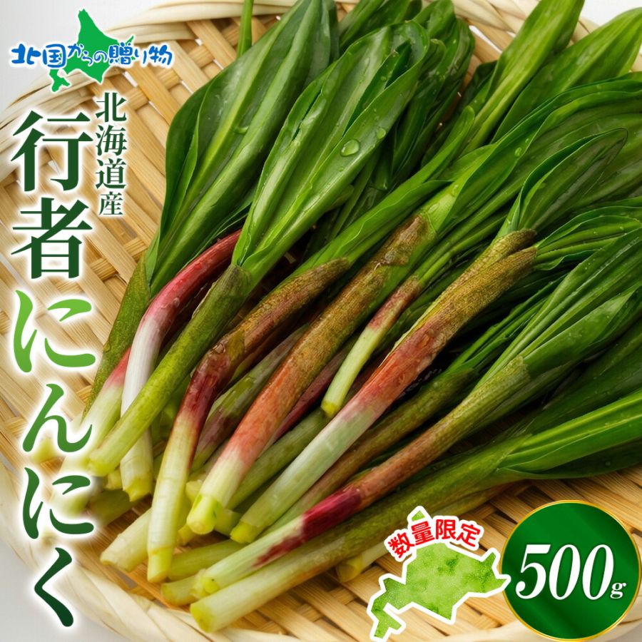 北海道産 行者にんにく 生冷蔵（500g）予約受付開始！アイヌネギ 北海道 行者ニンニク ギョウジャニンニク ギョウジャにんにく 行者 にんにく 北海道 野菜 産地直送 産直 ヒトビロ キトビロ プクサ お取り寄せグルメ 送料無料 ◆出荷予定：4月下旬-5月上旬