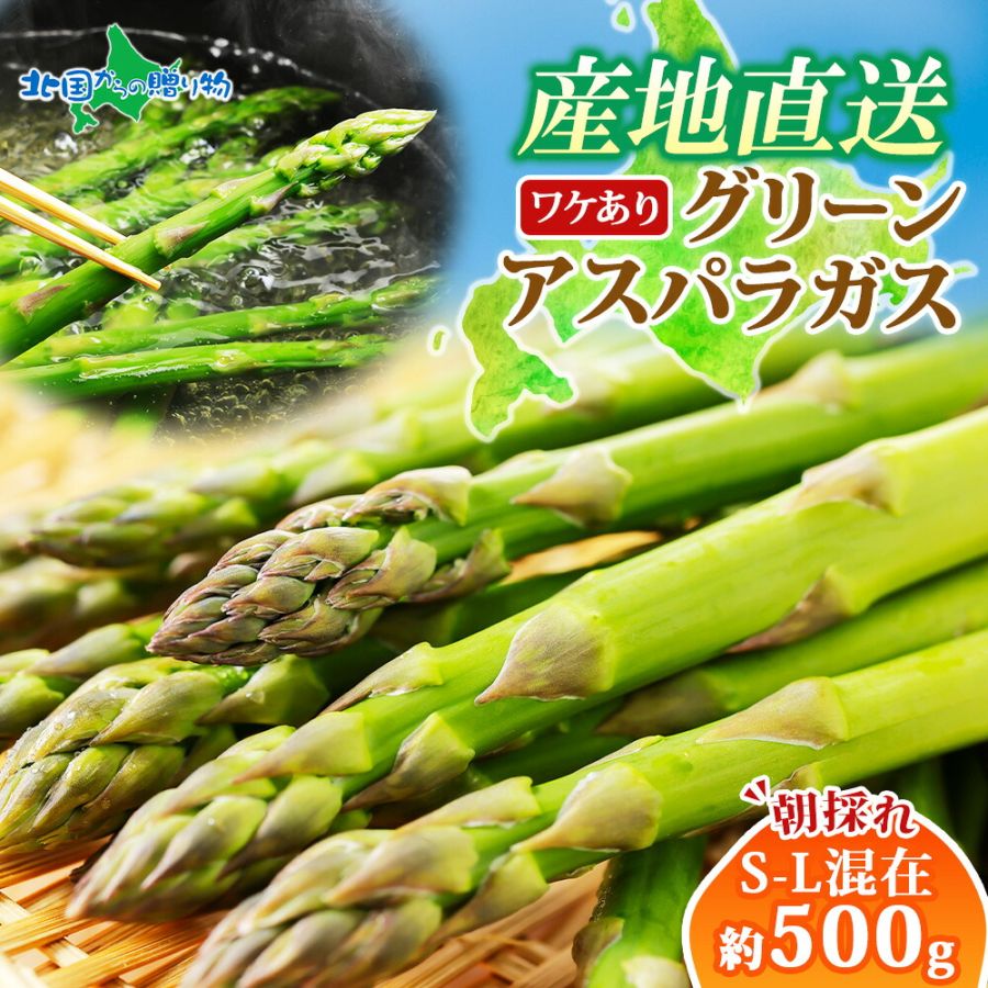 訳あり 北海道産 グリーンアスパラガス（S-Lサイズ混在）500g　送料無料　◆出荷予定：5月中旬-6月上旬 ※日時指定不可 ※代引き不可