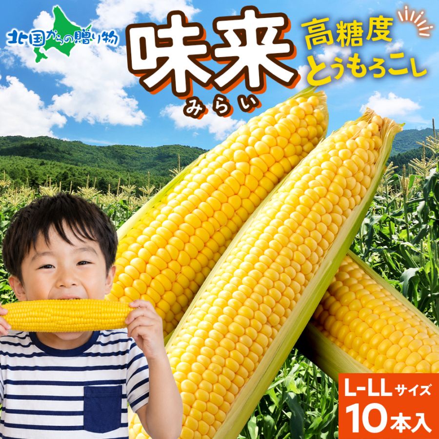 北海道産 とうもろこし 味来 みらい 10本(L-LLサイズ/約4.3kg) トウモロコシ/BBQ/バーベキュー/北国からの贈り物/ 送料無料 ◆出荷予定：8月中旬-9月中旬 ※日時指定不可
