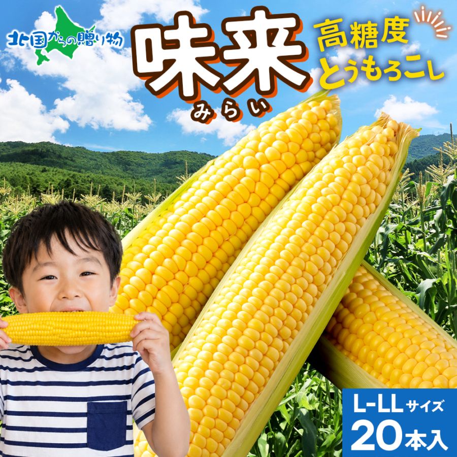北海道産 とうもろこし 味来 みらい 20本(L-LLサイズ/約8.6kg) トウモロコシ/バーベキュー 送料無料　◆出荷予定：8月中旬-9月中旬 ※日時指定不可