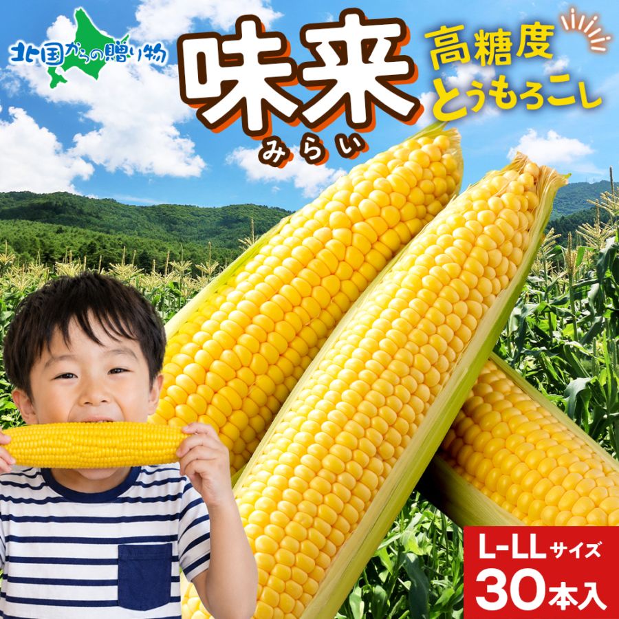 北海道産 とうもろこし 味来 みらい 30本(L-LLサイズ/約13kg) トウモロコシ/BBQ/バーベキュー/北国からの贈り物/ 送料無料 ◆出荷予定：8月中旬-9月中旬 ※日時指定不可
