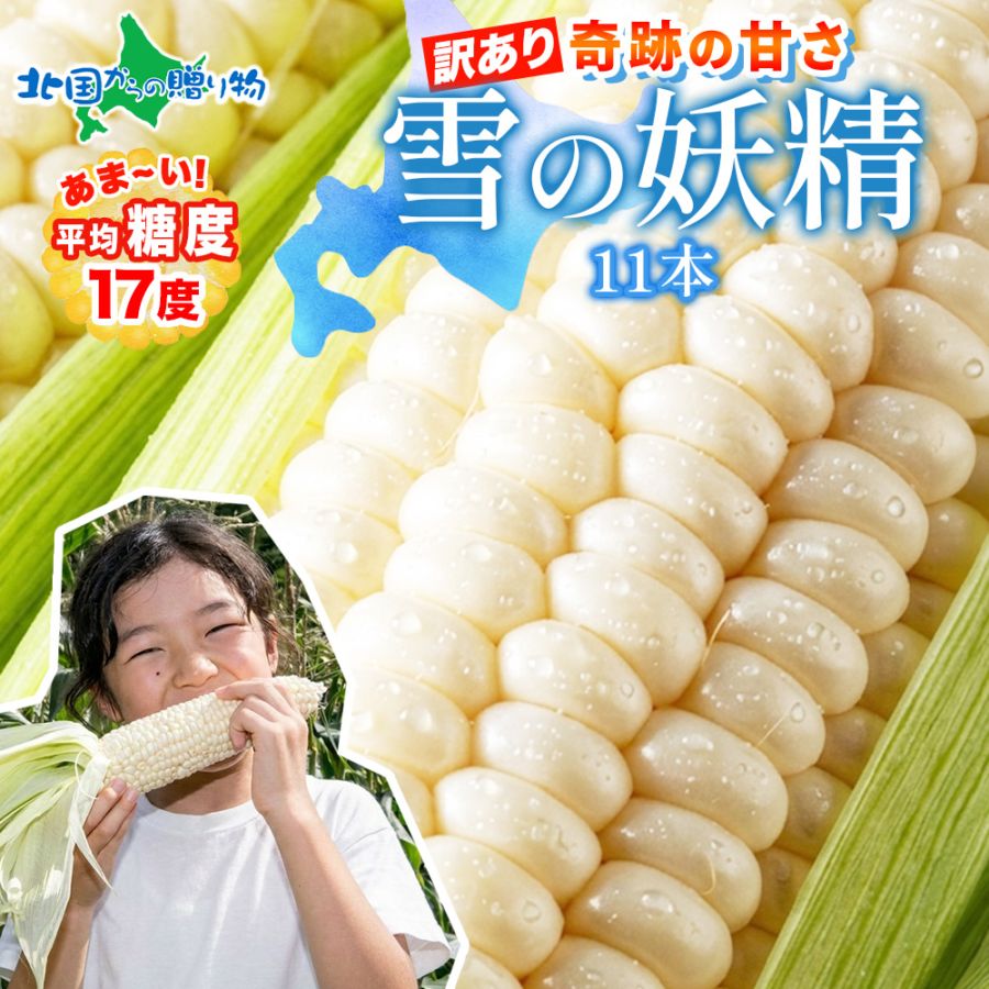 訳あり 北海道産 とうもろこし 雪の妖精 11本 トウモロコシ/バーベキュー/ホワイトコーン 送料無料　◆出荷予定：8月中旬-9月下旬 ※日時指定不可