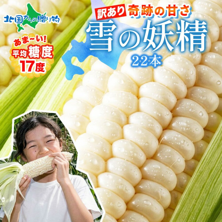 訳あり 北海道産 とうもろこし 雪の妖精 22本 トウモロコシ/バーベキュー/ホワイトコーン 送料無料　◆出荷予定：8月中旬-9月下旬 ※日時指定不可