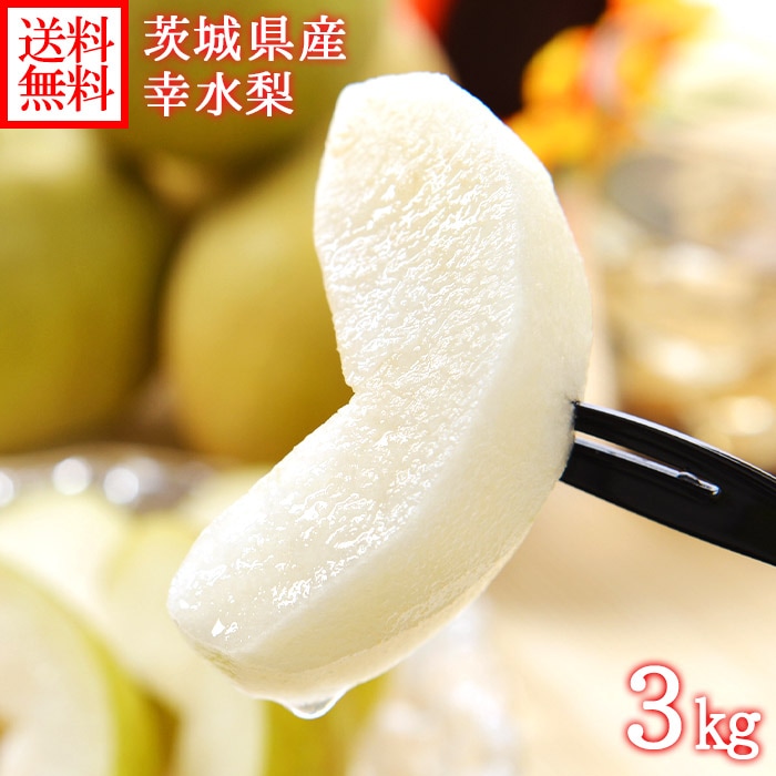 茨城県産 幸水梨 秀品 ギフト 計3kg前後(7-8個) 送料無料　◆出荷予定：8月中旬 ※日時指定不可