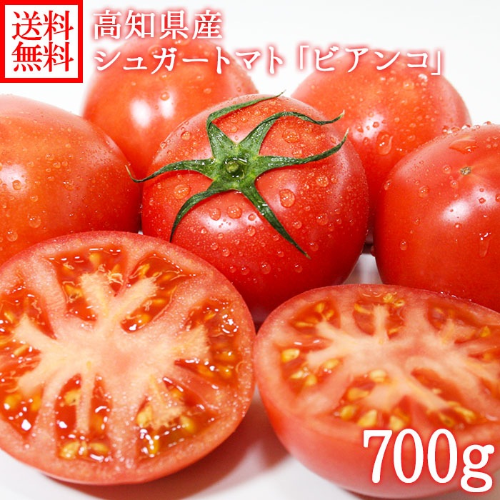 高知県産 シュガートマト ビアンコ 700g フルーツトマト/トマト　送料無料　◆出荷予定：1月上旬 ※日時指定不可