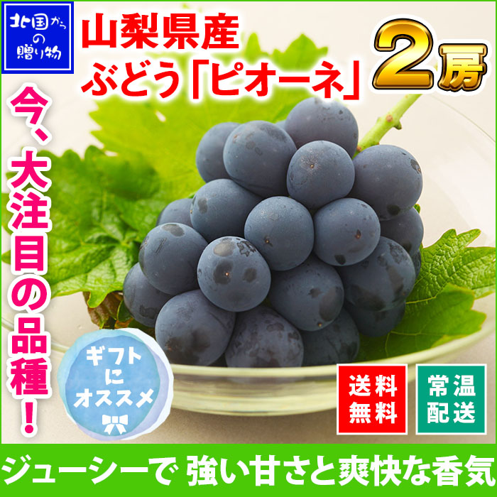 巨峰とマスカットの掛け合わせ 大注目の山梨県産ピオーネ
