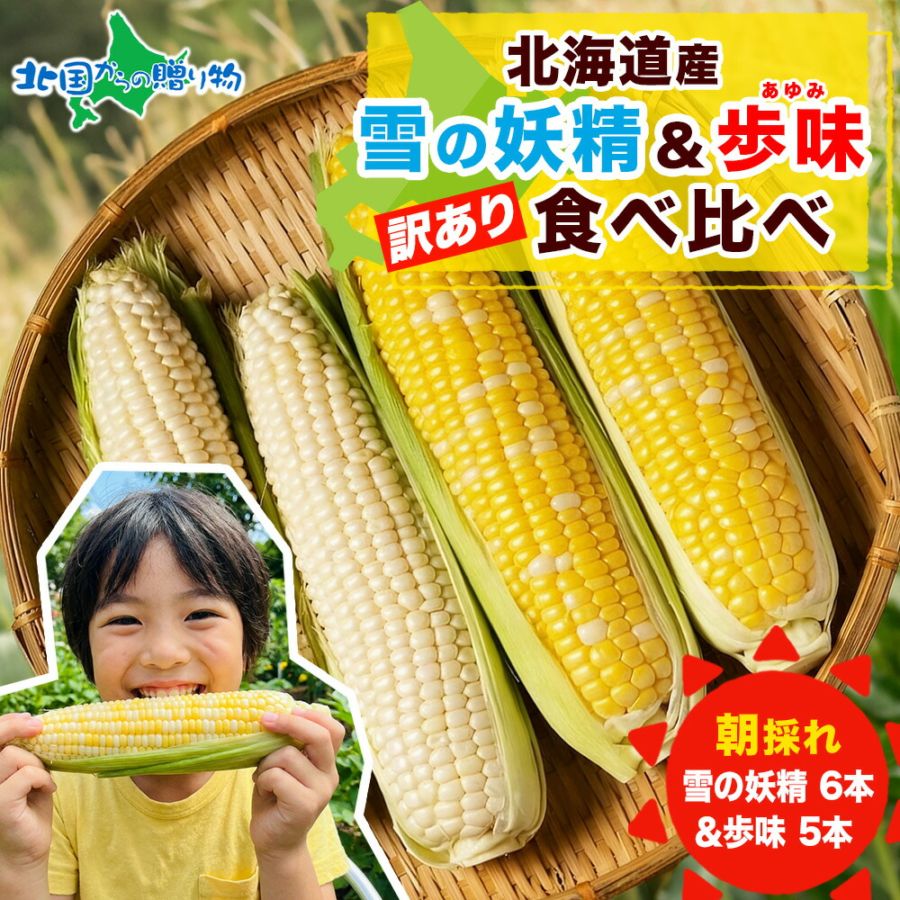訳あり 北海道産 トウモロコシ 食べ比べセット  11本 とうもろこし/BBQ/バーベキュー/雪の妖精/ホワイトコーン/スイートコーン/ 送料無料　◆出荷予定：8月中旬-9月下旬 ※日時指定不可