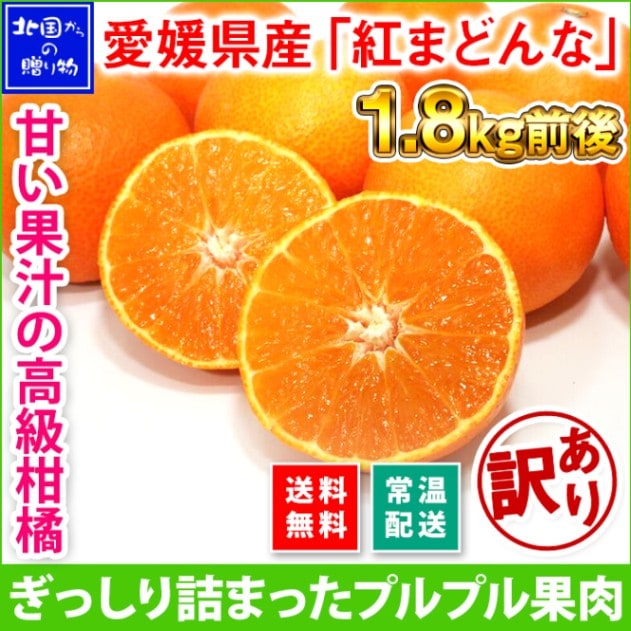 みかん 送料無料 訳あり 愛媛県産 紅まどんな 計1.8kg前後 高級 柑橘 オレンジ 紅マドンナ ◆出荷予定：12月初旬-下旬 ※日時指定不可