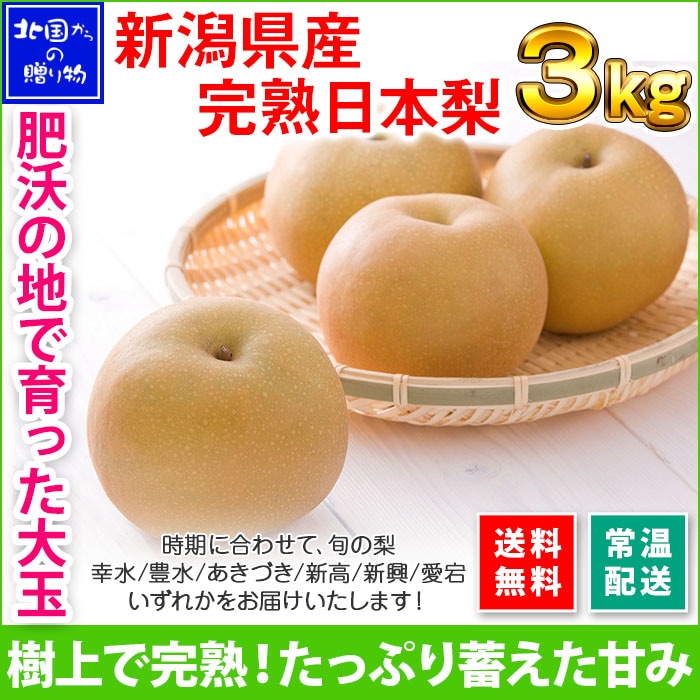 新潟県産 完熟日本梨 計3kg前後 梨 完熟 フルーツ 果物 ギフト 北国からの贈り物 送料無料 ◆出荷予定：9月初旬～12月上旬※日時指定不可
