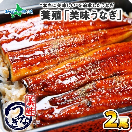 【ギフト】ウナギの蒲焼き （2尾）セット 120g～130g前後 御歳暮 お歳暮 うなぎ ギフト ウナギ 鰻 海鮮 うなぎ ギフト 誕生日 プレゼント お取り寄せグルメ お歳暮 ギフト うなぎ 蒲焼き 食べ物 ギフト うなぎ 蒲焼 鰻 快気祝い お返し gift 送料無料