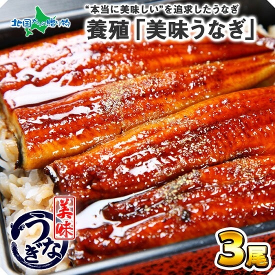 【ギフト】ウナギの蒲焼き （3尾）セット 120g～130g前後 御歳暮 お歳暮 うなぎ ギフト ウナギ 鰻 海鮮 うなぎ ギフト 誕生日 プレゼント お取り寄せグルメ お歳暮 ギフト うなぎ 蒲焼き 食べ物 ギフト うなぎ 蒲焼 鰻 快気祝い お返し gift 送料無料