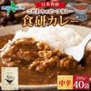 日本食研 カレー 食研カレー 200g  （40食セット）  レトルトカレー 業務用パッケージ 一部メール便 1000円ポッキリ 送料無料 レトルト カレー ポイント消化 送料無 買い回り 買いまわり
