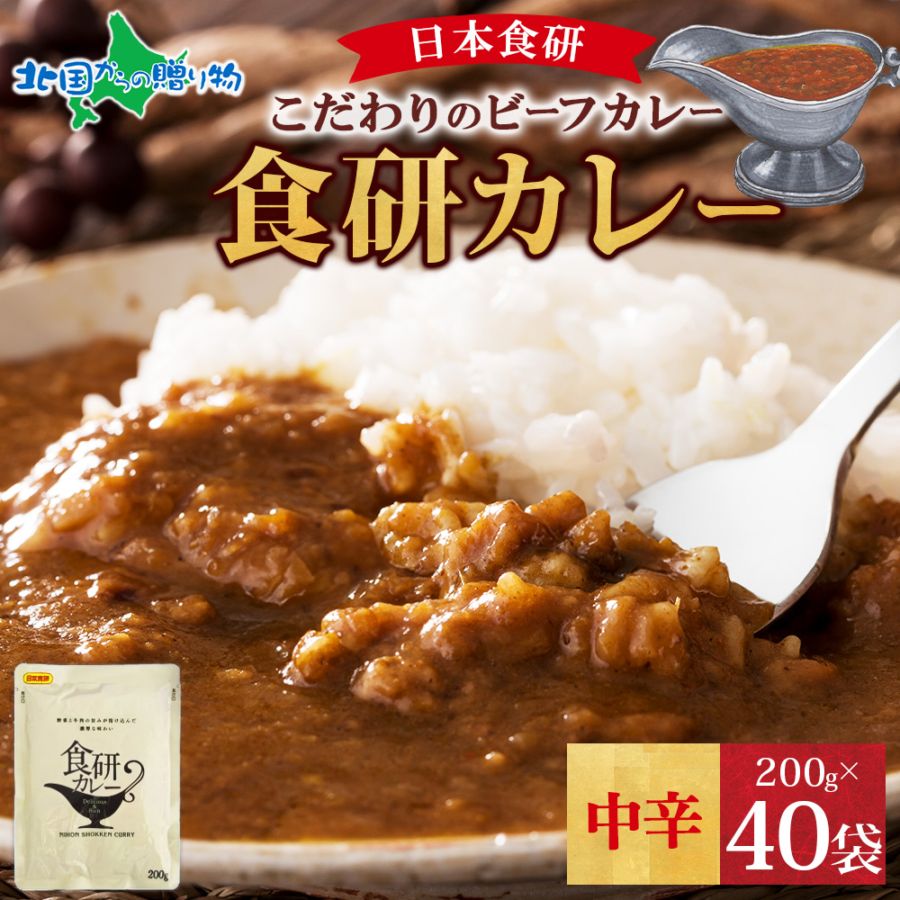 日本食研 カレー 食研カレー 200g  （40食セット）  レトルトカレー 業務用パッケージ 一部メール便 1000円ポッキリ 送料無料 レトルト カレー ポイント消化 送料無 買い回り 買いまわり 1000円 ビーフ カレー 中辛 カレー レトルト グルメ 食品 curry set