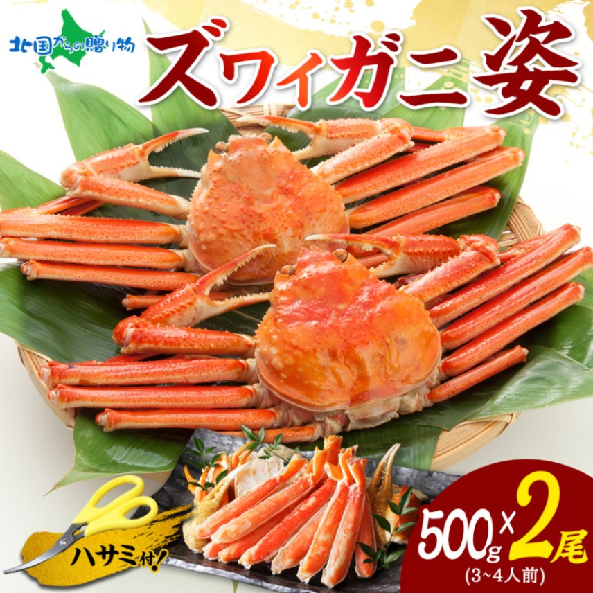 �ڥ��եȡۥ��� ���磻���� �ܥ��� �� ��500g��2���� ��