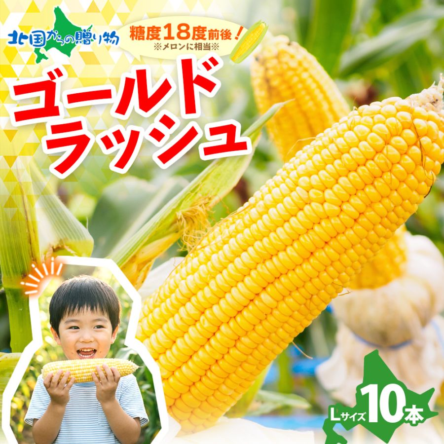 北海道産 とうもろこし ゴールドラッシュ 10本(L) トウモロコシ/BBQ/バーベキュー/北国からの贈り物/ 送料無料 ◆出荷予定：7月下旬～8月下旬 ※日時指定不可