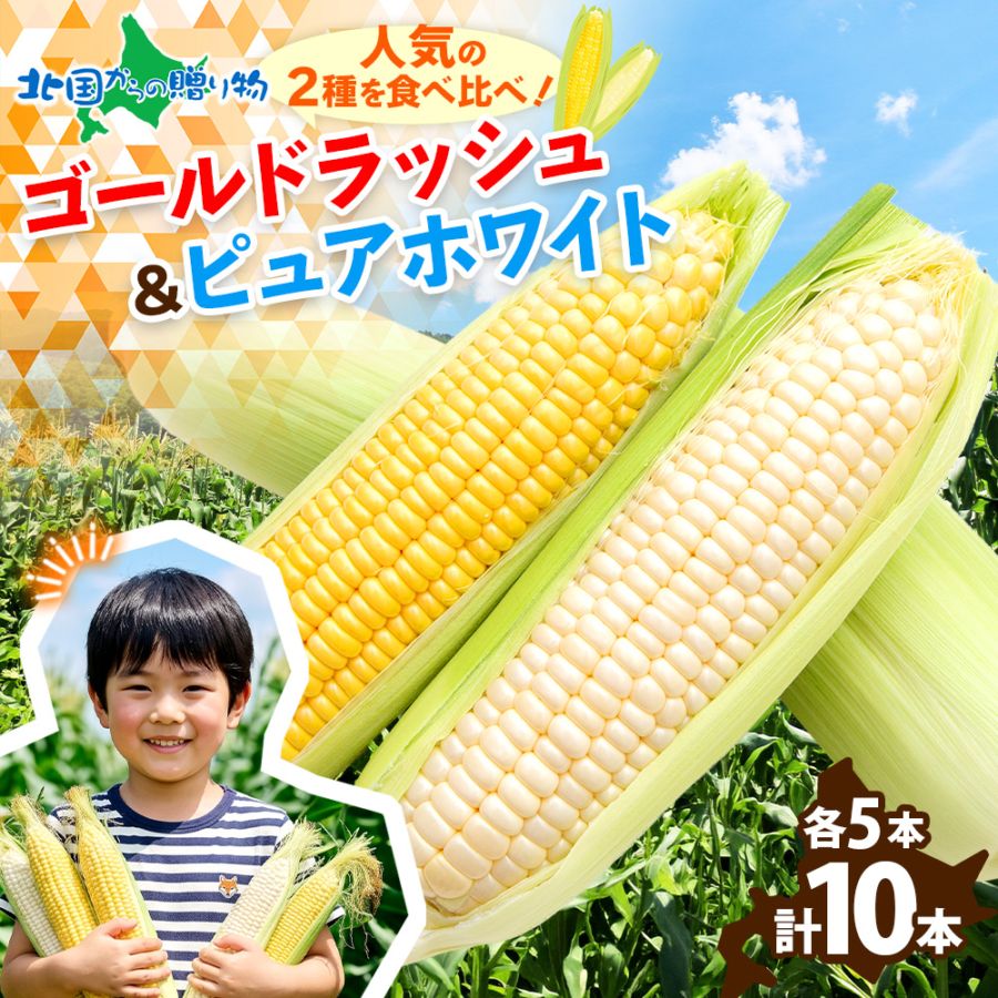 北海道産 トウモロコシ 食べ比べセット  10本 とうもろこし/BBQ/バーベキュー/ゴールドラッシュ/ピュアホワイト/スイートコーン/イエローコーン 送料無料　◆出荷予定：7月下旬～8月下旬※日時指定不可