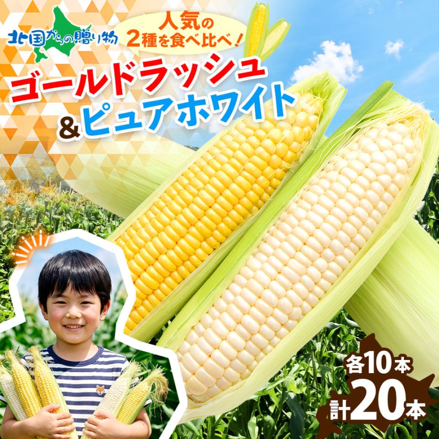 北海道産 トウモロコシ 食べ比べセット  20本 とうもろこし/BBQ/バーベキュー/ゴールドラッシュ/ピュアホワイト/スイートコーン/イエローコーン 送料無料　◆出荷予定：7月下旬～8月下旬 ※日時指定不可