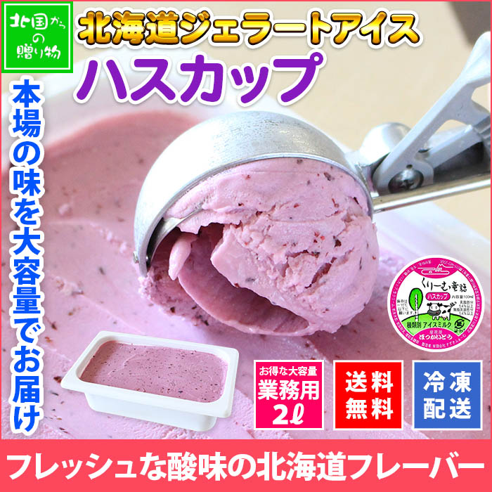 北海道 アイスクリーム ハスカップ ジェラート 2L 業務用 2リットル アイス フルーツ 大容量 いっぱい 牛乳 スイーツ 手作り Gift 贈り物 贈答品 ギフト プレゼント お取り寄せ 北海道
