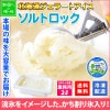 北海道 アイスクリーム ソルトロック ジェラート 2L 業務用 2リットル ソルト アイス 塩　大容量 いっぱい 牛乳 スイーツ 手作り Gift 贈り物 贈答品 ギフト プレゼント お取り寄せ 北海