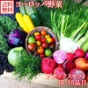 ヨーロッパ野菜 詰め合わせ デラックスセット（13-15品目） 新鮮 野菜 詰め合わせ セット 産地直送 ヨーロッパ サラダ ヨーロピアン ビーツ ルッコラ ロマネスコ バターナッツ お取り寄せ 野菜