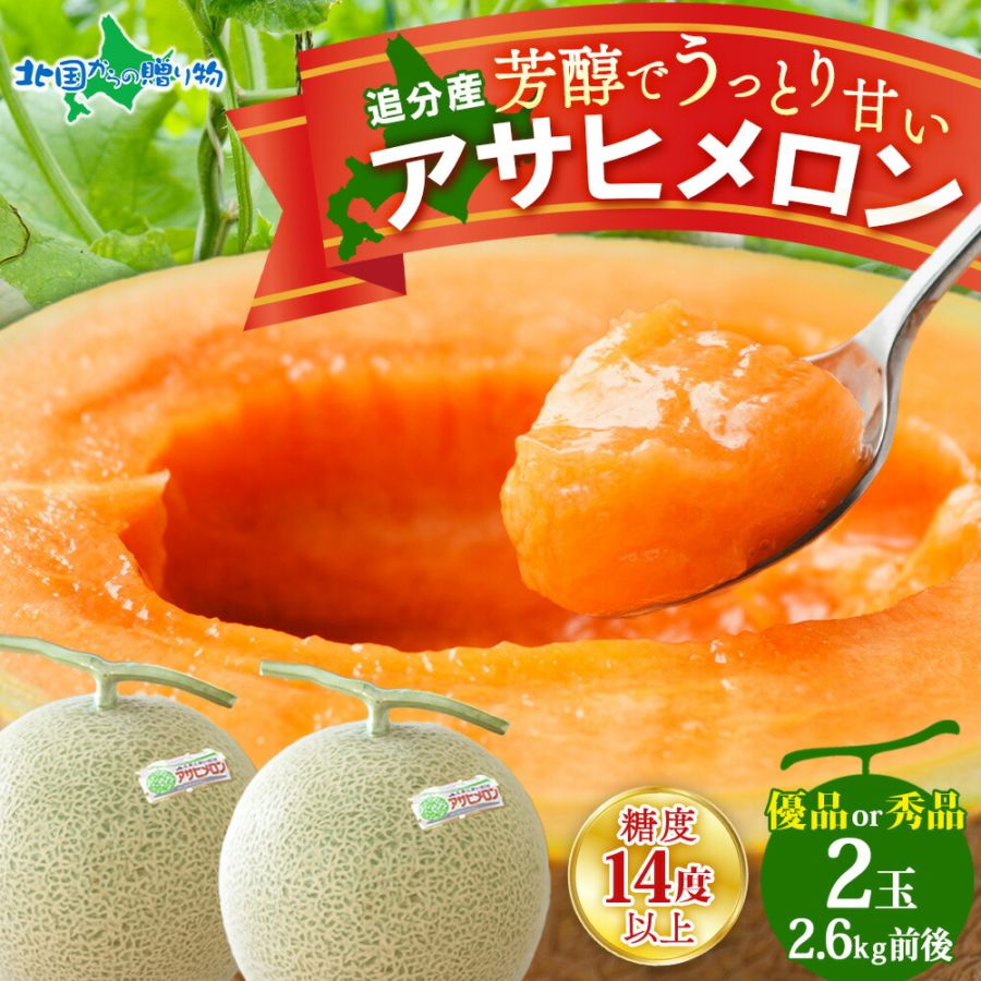 北海道追分産 アサヒメロン 計2.6kg前後（優品または秀品2玉）【6月中旬～9月初旬出荷予定】