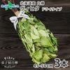 HOKKAIDO Vihta 北海道 白樺 ヴィヒタ 3本 アロマ ウィスク インテリア 乾燥ヴィヒタ サウナ 白樺 テントサウナ サウナグッズ ロウリュ ロウリュウ ウィスク sauna お風呂 血