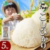 【令和7年産】魚沼産 コシヒカリ 特A （精米5kg） 新潟県産 備蓄 魚沼地区 こしひかり 5kg 10kg 新潟産  特A米 白米 精米 無洗米 簡単 お手軽 米 お米 ごはん 小分け 常備食 国