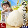 【令和7年産】 魚沼産 コシヒカリ 特A （無洗米5kg） 新潟県産 備蓄 魚沼地区 こしひかり 5kg 10kg 新潟産  特A米 白米 精米 無洗米 簡単 お手軽 米 お米 ごはん 小分け 常備食