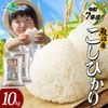 【令和7年産】魚沼産 コシヒカリ 特A （精米10kg） 新潟県産 備蓄 魚沼地区 こしひかり 5kg 10kg 新潟産  特A米 白米 精米 無洗米 簡単 お手軽 米 お米 ごはん 小分け 常備食 