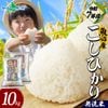 【令和7年産】魚沼産 コシヒカリ 特A （無洗米10kg） 新潟県産 備蓄 魚沼地区 こしひかり 5kg 10kg 新潟産  特A米 白米 精米 無洗米 簡単 お手軽 米 お米 ごはん 小分け 常備食