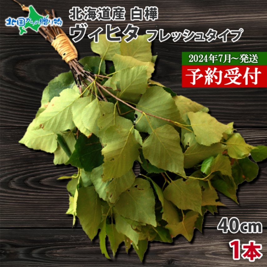 HOKKAIDO Vihta 北海道 白樺 ヴィヒタ 1本 アロマ ウィスク インテリア フレッシュヴィヒタ 生 ビヒタ サウナ 白樺 テントサウナ サウナグッズ ロウリュ ロウリュウ お風呂 血行促進 リラックス 北国からの贈り物 送料無料