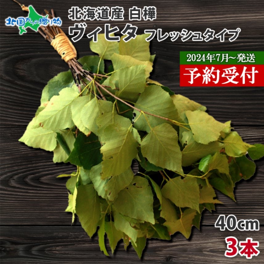 HOKKAIDO Vihta 北海道 白樺 ヴィヒタ 3本 アロマ ウィスク インテリア フレッシュヴィヒタ 生 ビヒタ サウナ 白樺 テントサウナ サウナグッズ ロウリュ ロウリュウ お風呂 血行促進 リラックス 北国からの贈り物 送料無料