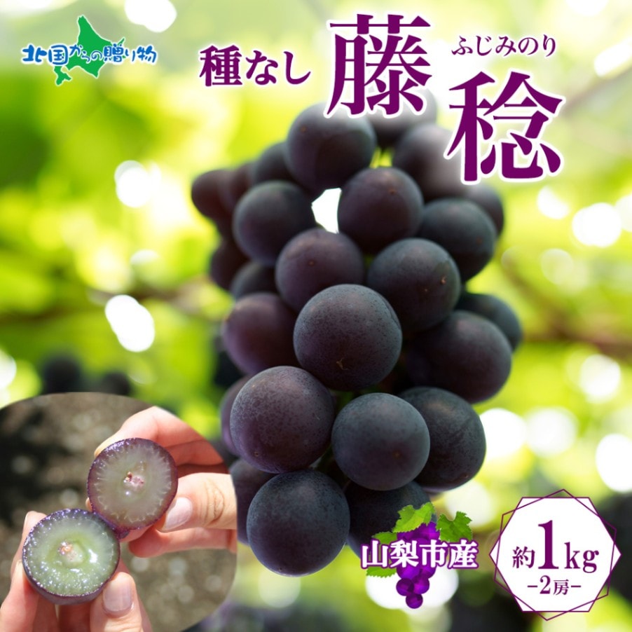 山梨県産 藤稔 2房 約1kg ふじみのり ギフト ぶどう ブドウ 葡萄 産地直送 産直 お中元 お取り寄せ グルメ 果物 フルーツ 旬の果物 暑中見舞い 御中元 プレゼント 北国からの贈り物 送料無料 残暑お見舞い ◆出荷予定：8月上旬～8月下旬