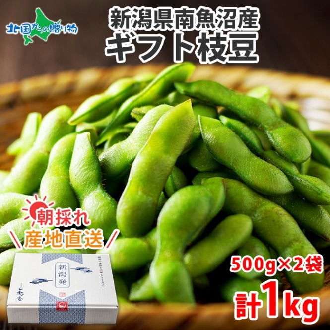 お中元 新潟県産 南魚沼 枝豆 500g×2袋 1kg ギフト 産地直送 国産 朝採り 新鮮 えだまめ えだ豆 エダマメ 豆 まめ マメ 食品 野菜 やさい おつまみ 贈り物 贈答品 ご褒美 料理 調理 冷蔵 送料無料 ◆出荷予定：7月下旬～10月中旬発送