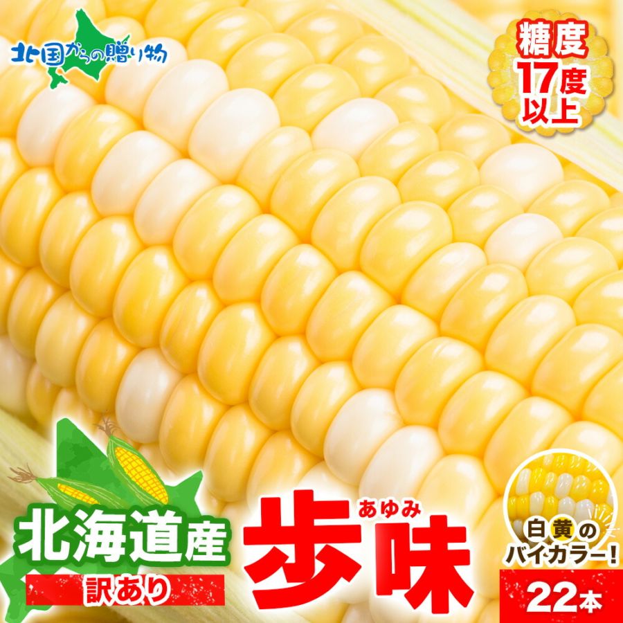 北海道産 訳あり とうもろこし 歩味 あゆみ 22本 バイカラー 鮮度 トウモロコシ ギフト お中元 産地直送 国産 朝採り 新鮮 食品 野菜 やさい 産直 おつまみ 朝採れ 生 夏ギフト 御中元 贈答品 贈り物 ご褒美 料理 調理 冷蔵 ◆出荷予定：8月中旬-9月下旬発送 ※日時指定不可