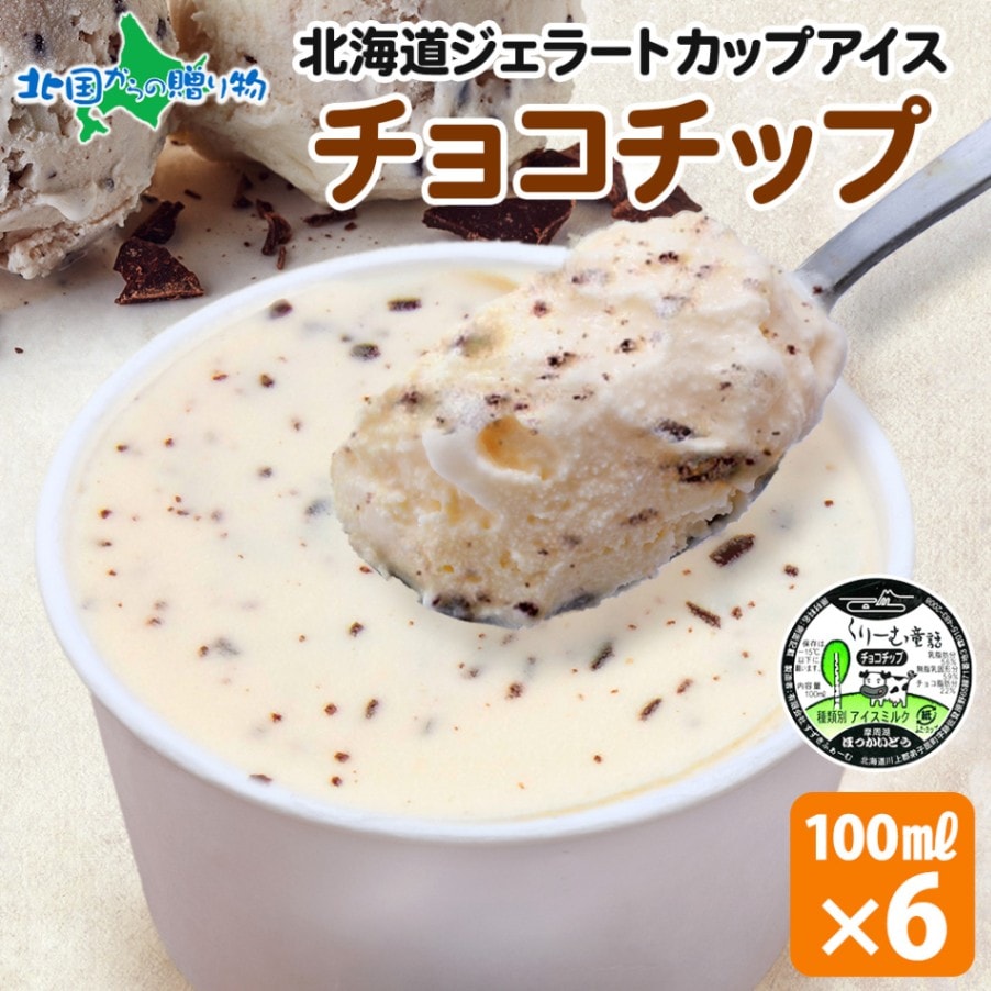 くりーむ童話 北海道 アイスクリーム ジェラート チョコチップ 6個セット 単品  アイス ギフト 送料無料