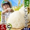 【新米】入荷次第順次発送 無洗米 令和７年産 新潟県 魚沼産 コシヒカリ 特A （5kg）備蓄 新米予約 新潟産 魚沼産コシヒカリ 特A米 無洗米 5kg / 無洗米10kg (5kg×2袋) 魚沼産