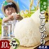 【新米】入荷次第順次発送 無洗米 令和７年産 新潟県 魚沼産 コシヒカリ 特A （10kg）備蓄 新米予約 新潟産 魚沼産コシヒカリ 特A米 無洗米 5kg / 無洗米10kg (5kg×2袋) 魚沼